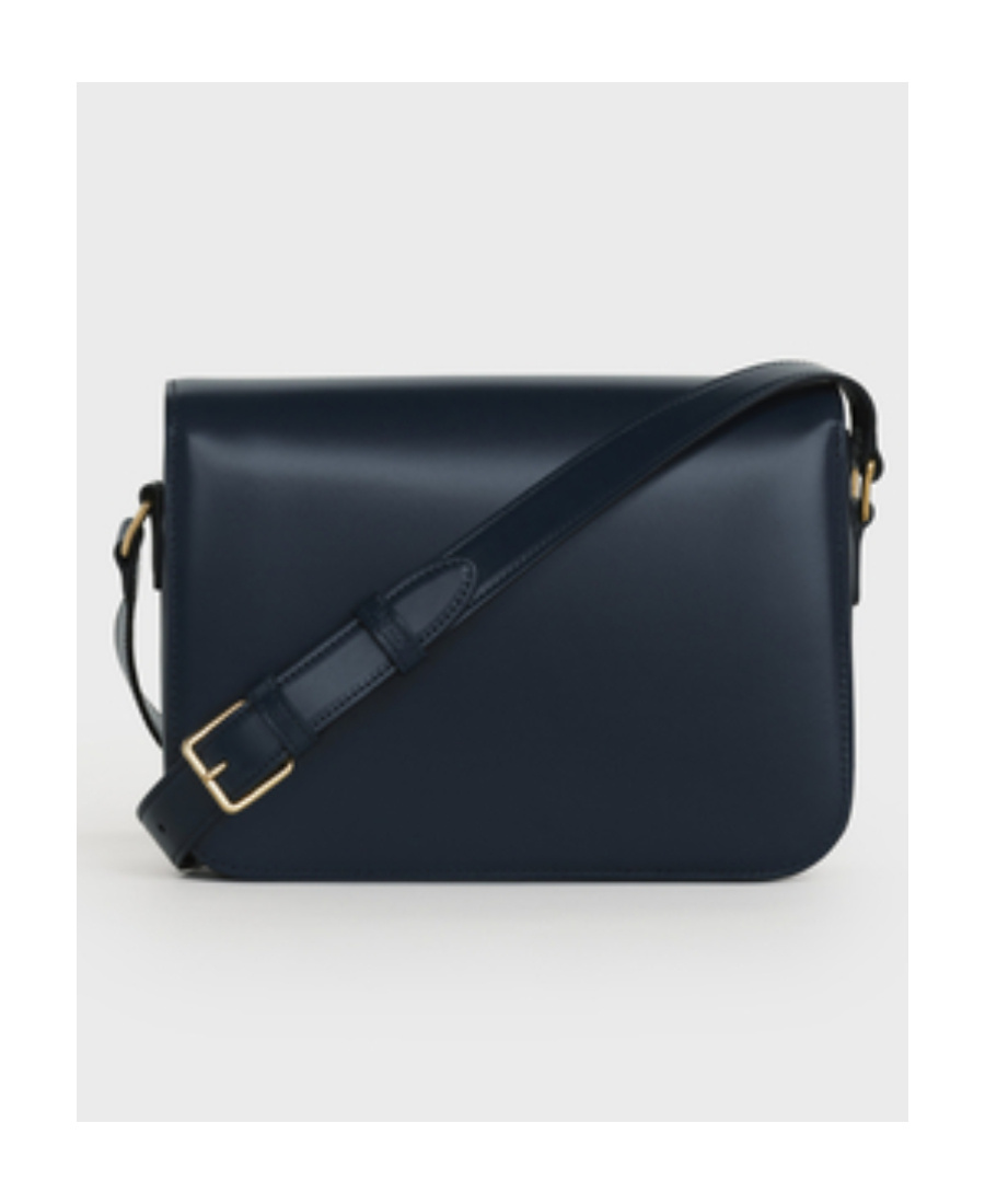 Celine Triomphe Medium Liangze Cattle Leather Handbag In Blue