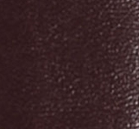 Khaite Manhattan Belt In Bordeaux Leather With Gold In Black