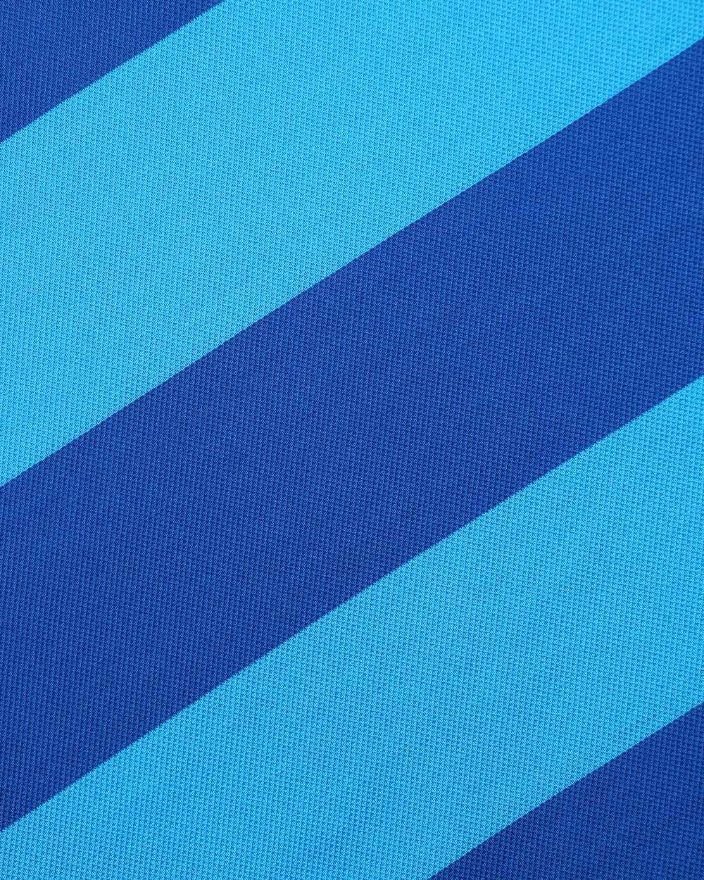 Paul & Shark Logo Embroidered Polo Shirt In Blue