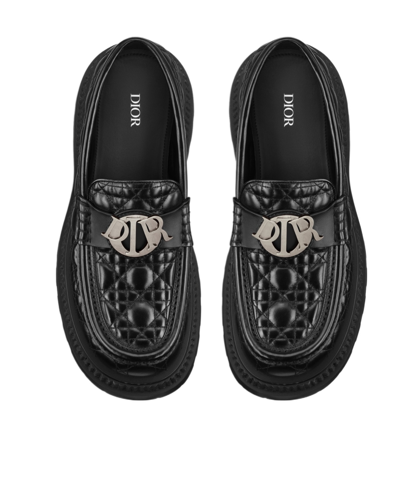 Dior Buffalo Loafer Shoes In Black