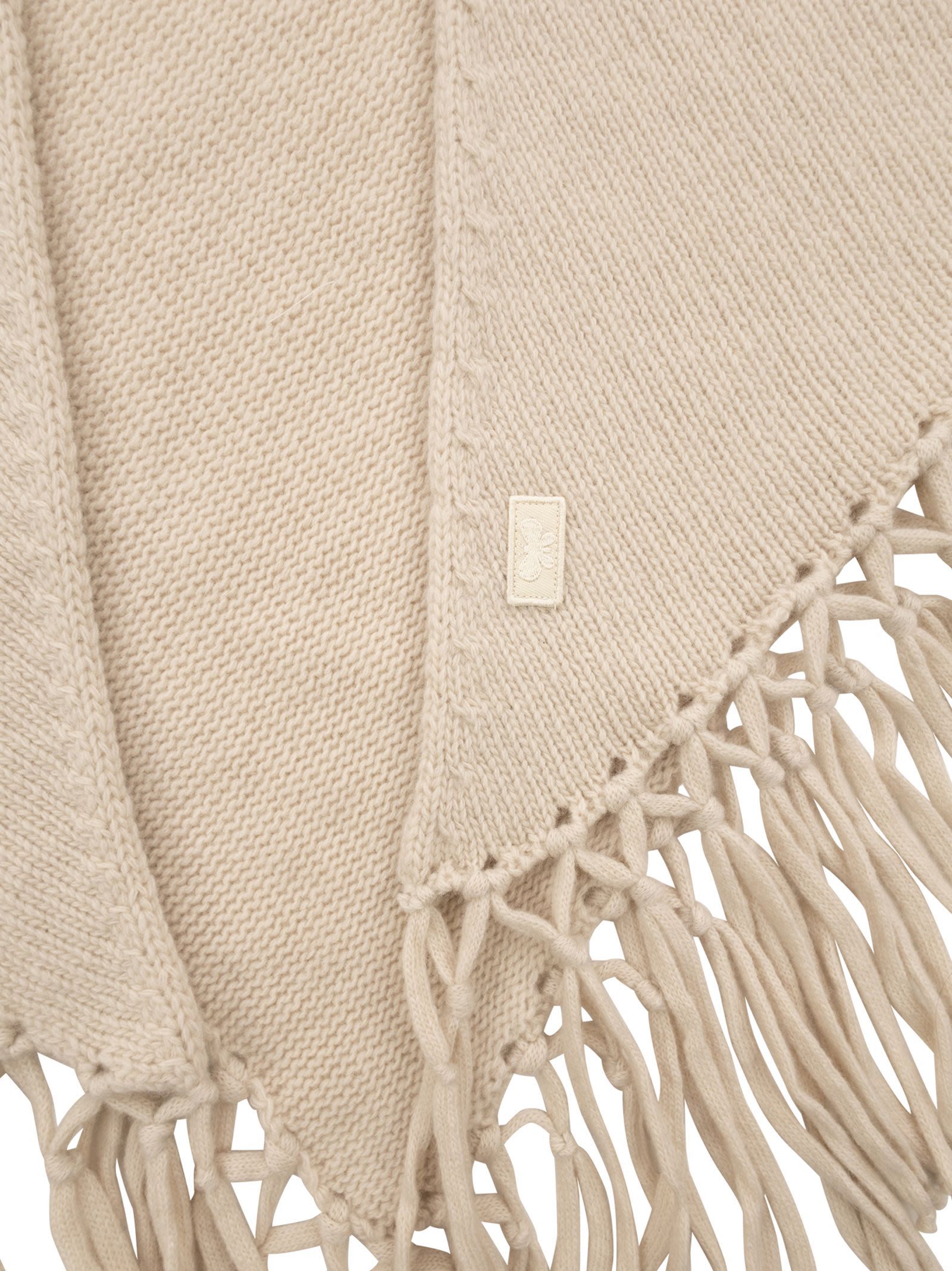 Weekend Max Mara Tornado Fringed Triangle Shawl In Brown