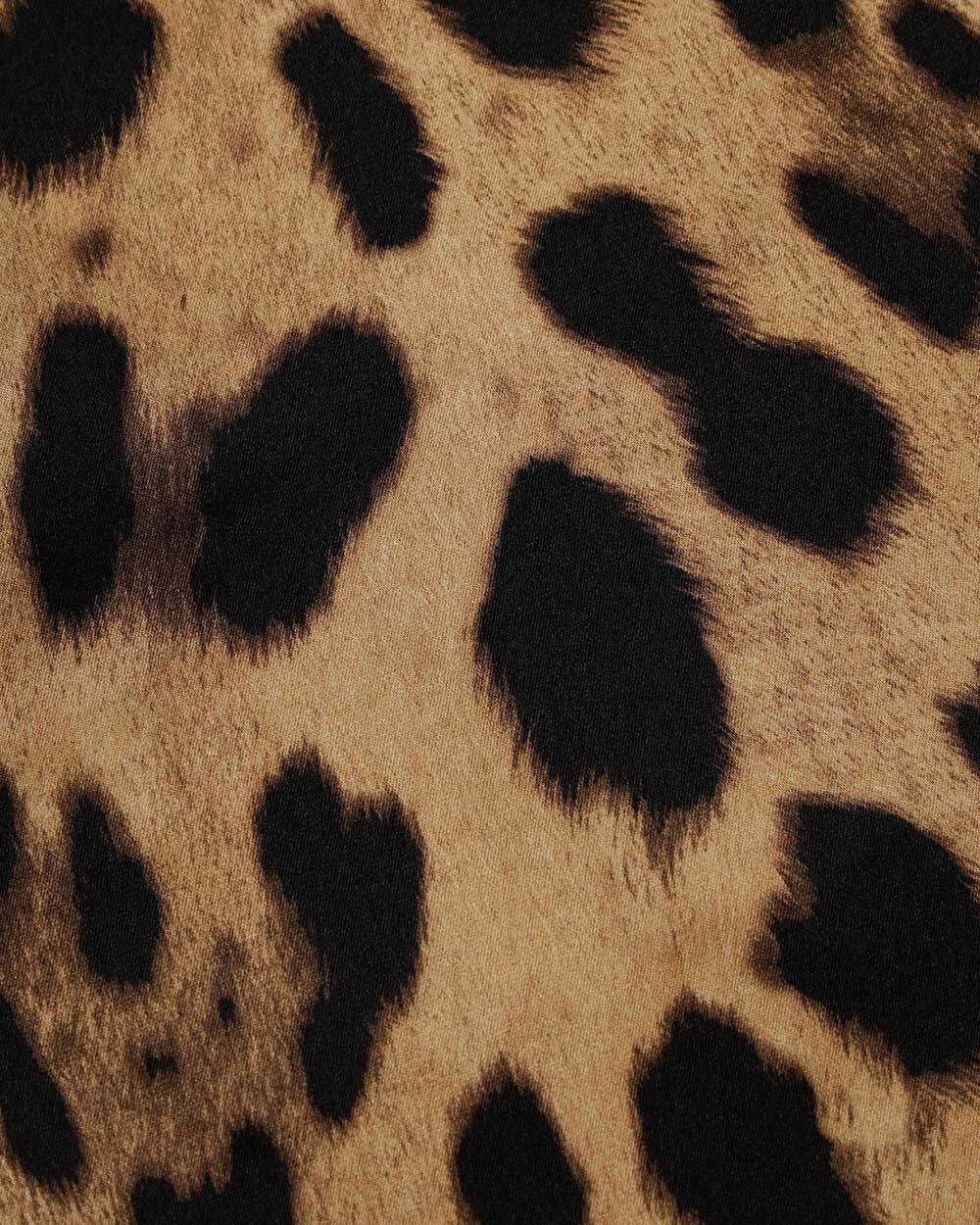 Dolce & Gabbana Leopard Print Scarf In Black
