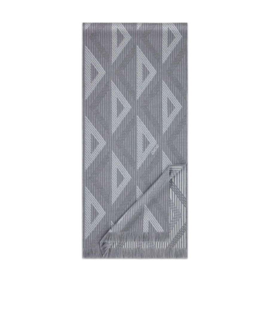 Dior Logo Scarf In Gray