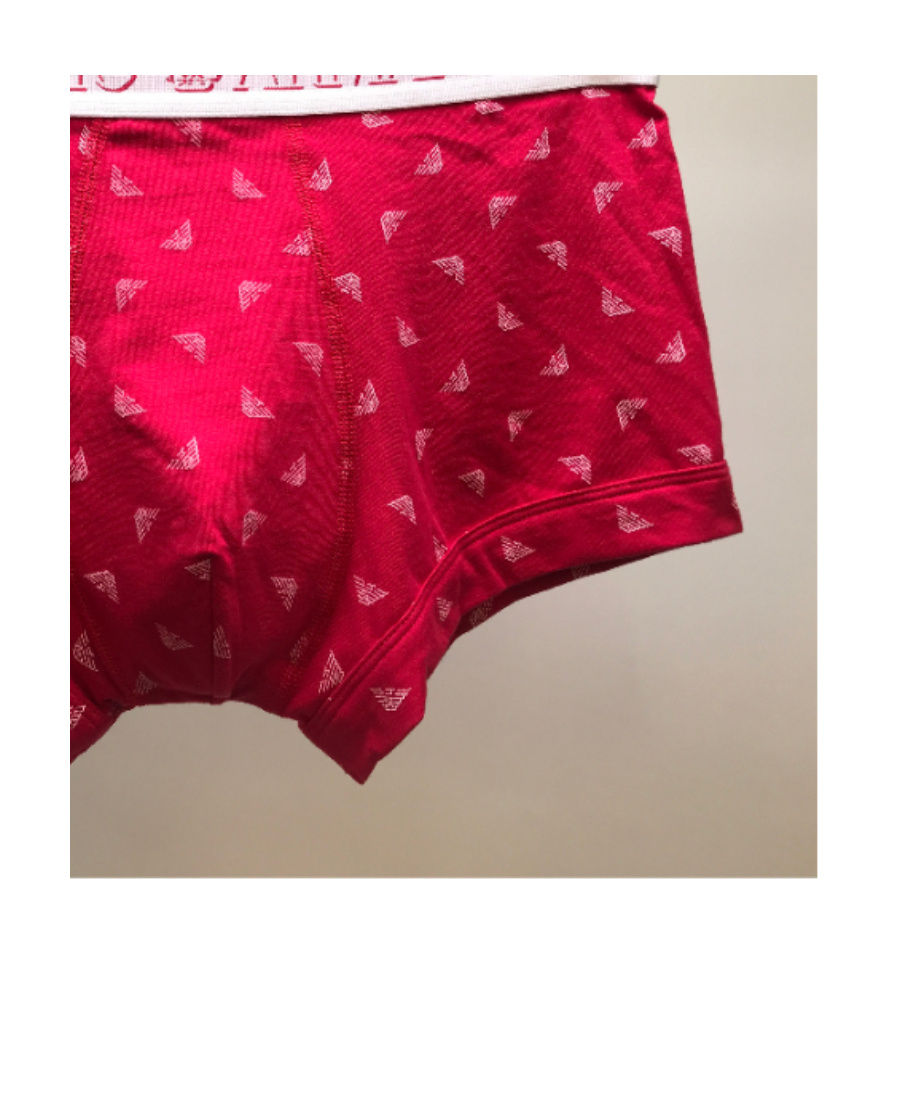 EMPORIO ARMANI LOGO BOXER PANTIES