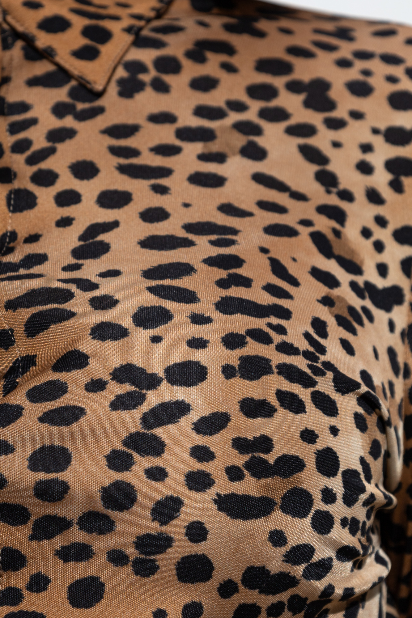 Shop Versace Leopard-printed Long-sleeved Shirt In Brown