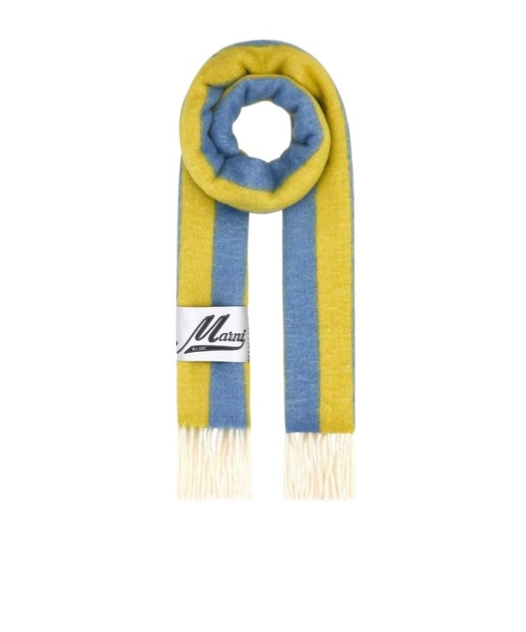 Marni Wool Blend Scarf With Embroidered Edges In Blue