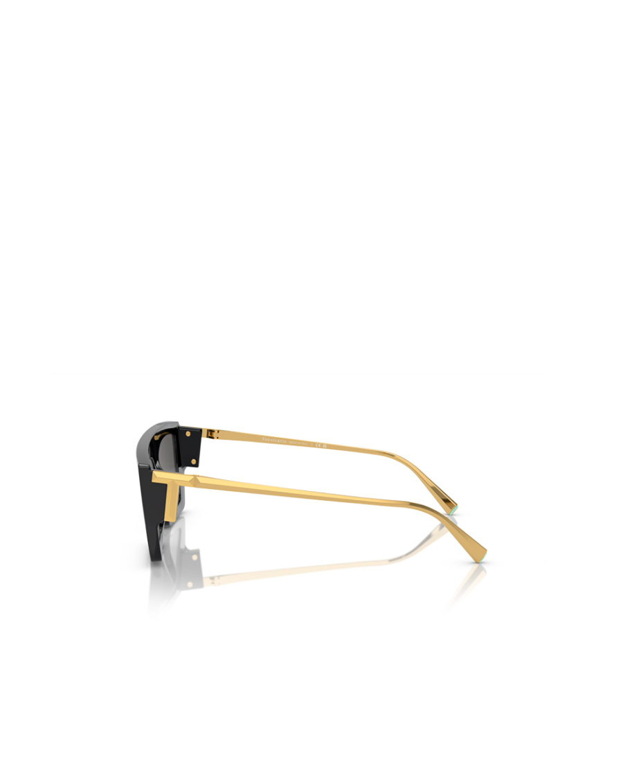 Tiffany & Co Collision Color Thick-rimmed Sunglasses In Black