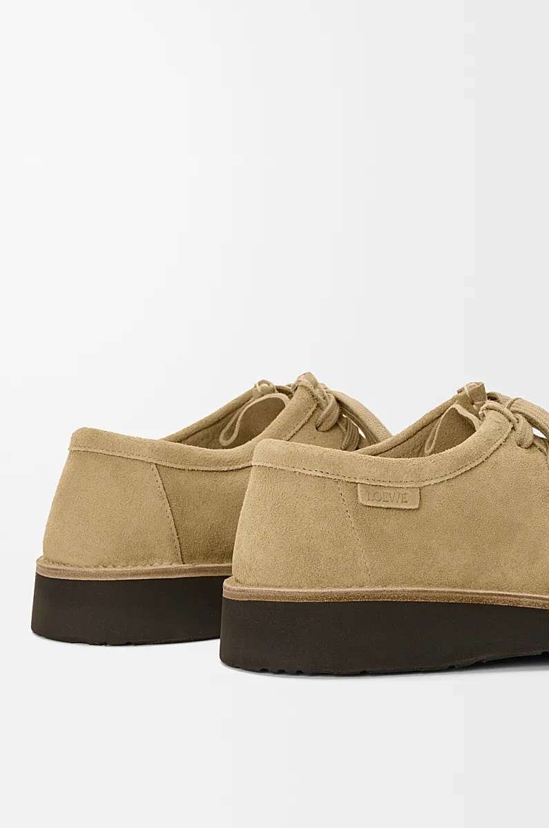 Loewe Faro Lace Up Shoes In Suede Calfskin