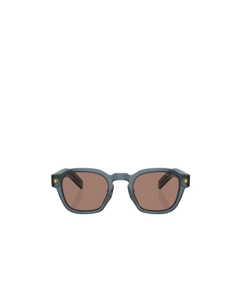 Prada Sunglasses With Iconic Metal Plaque In Brown
