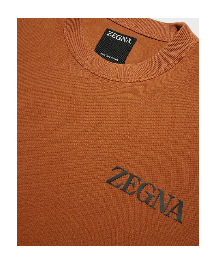 Shop Zegna Logo-print Sweatshirt In Brown