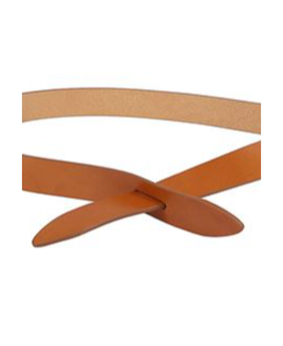 Isabel Marant Looped Belt In Brown