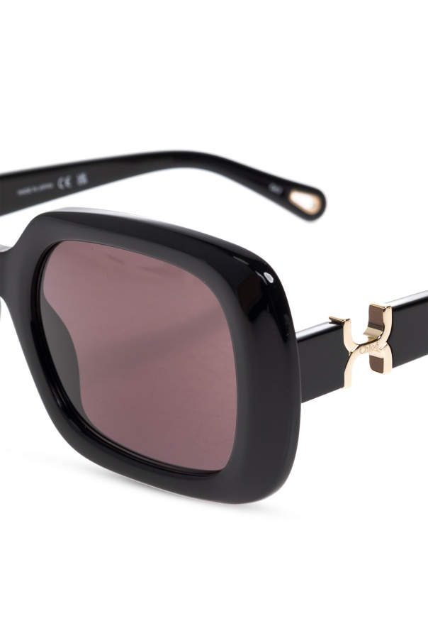 Chloé Full Frame Sunglasses In Brown