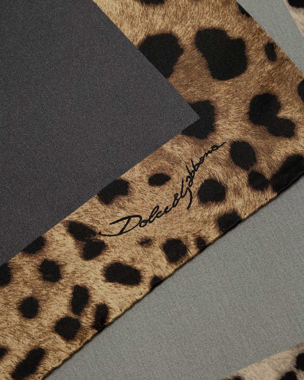 Dolce & Gabbana Leopard Print Scarf In Black