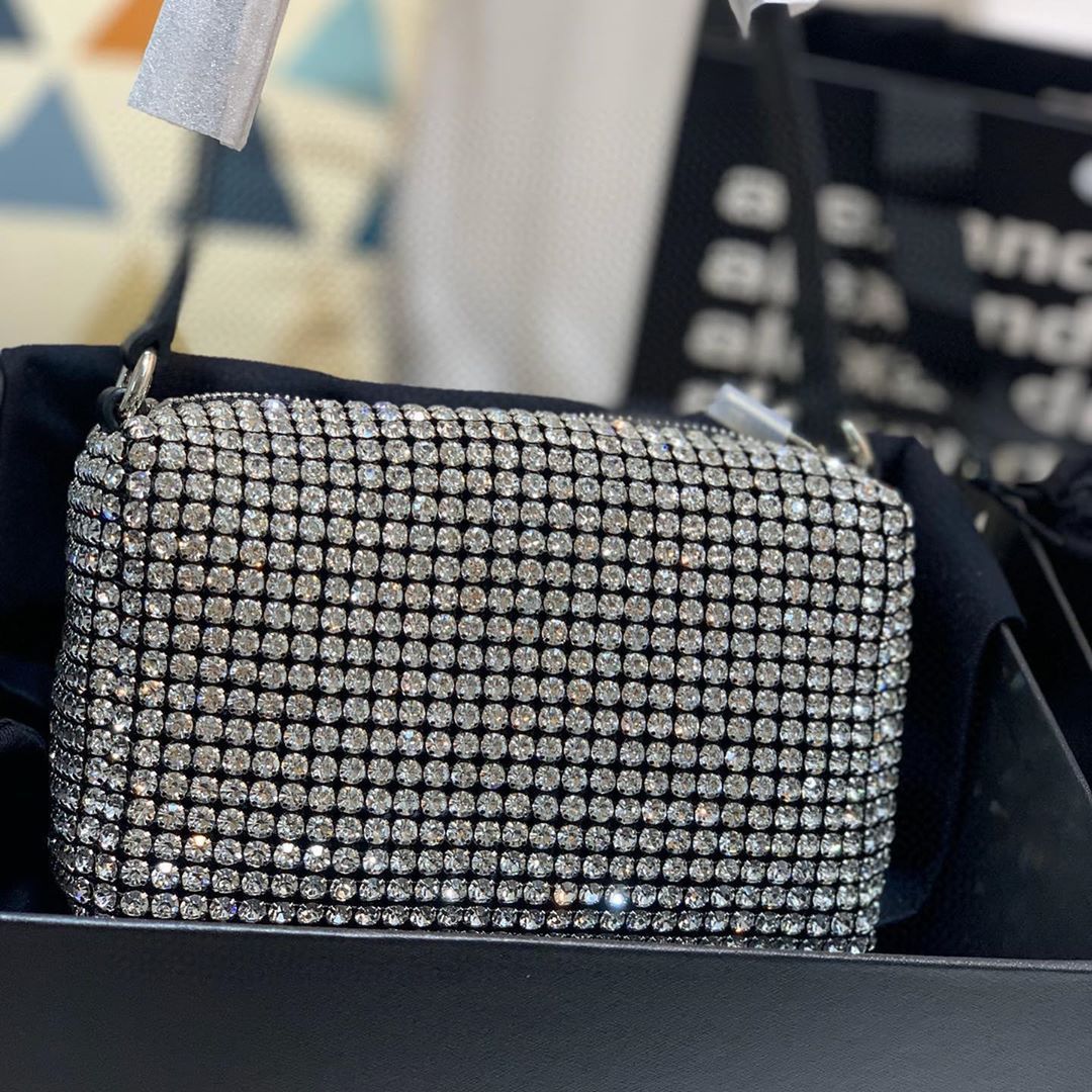 Alexander Wang Wangloc Nano Pouch In White