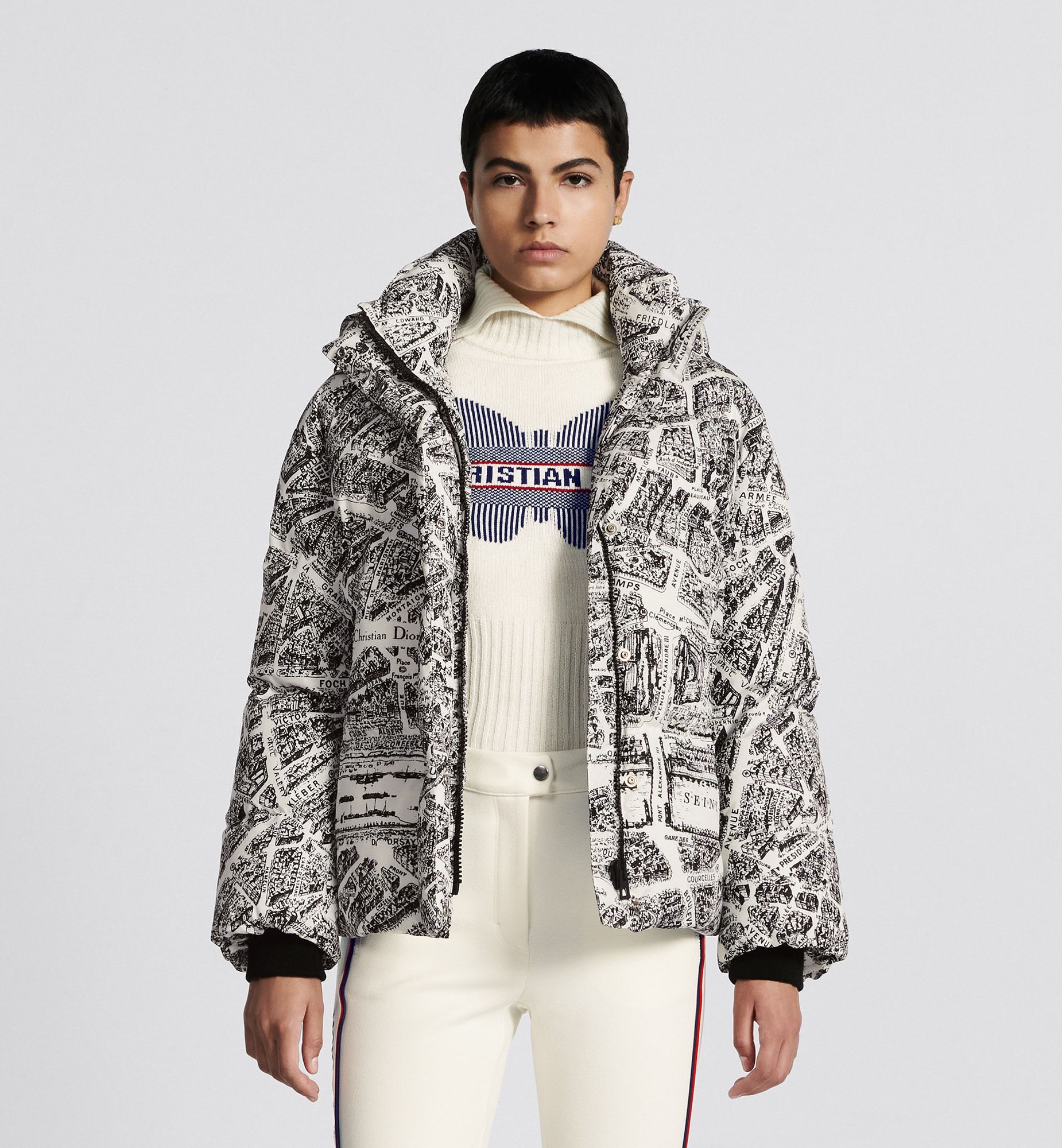 Dior Alps Hooded Down Jacket In Gray