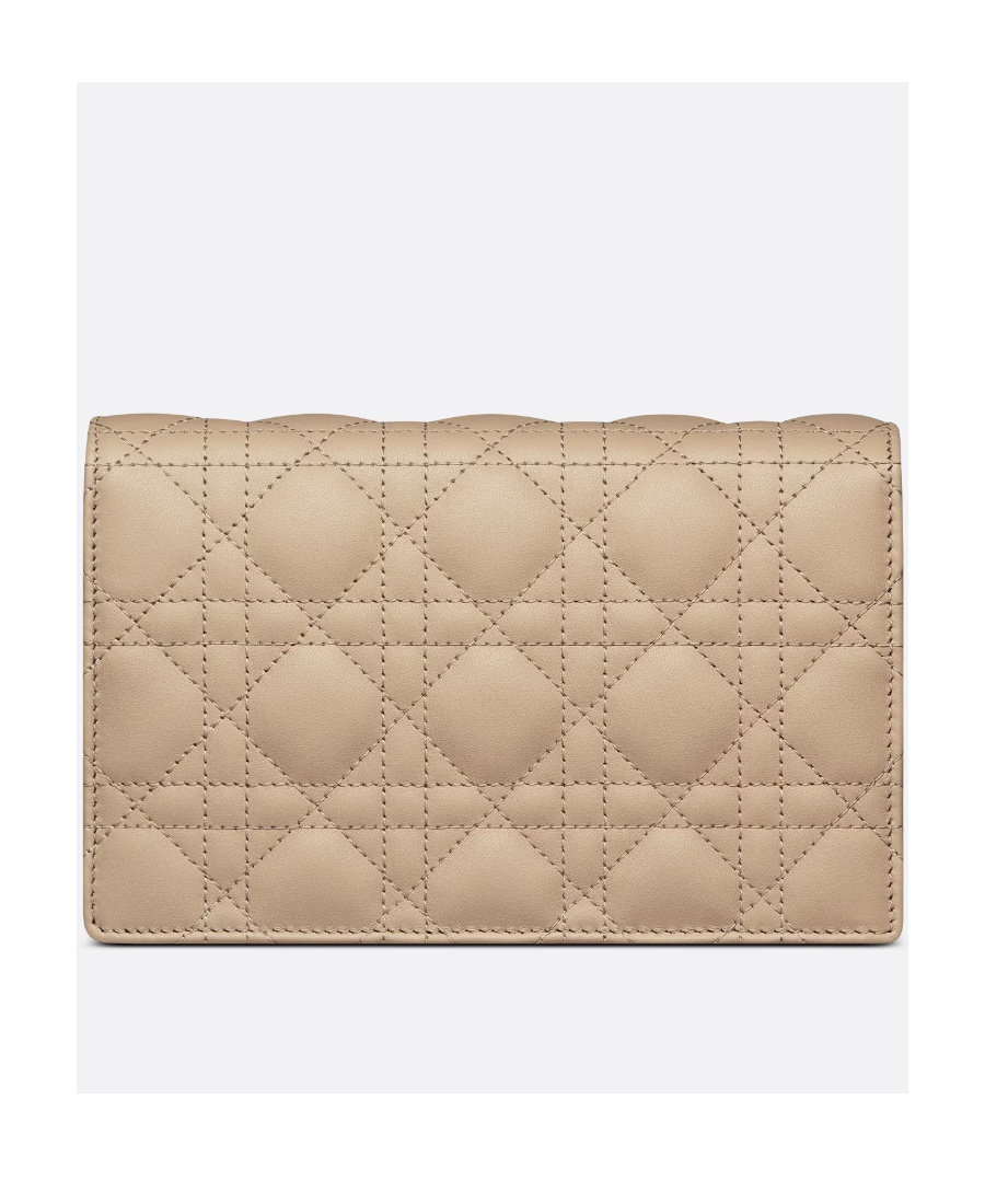 Dior Lady  Chain Pouch In Brown