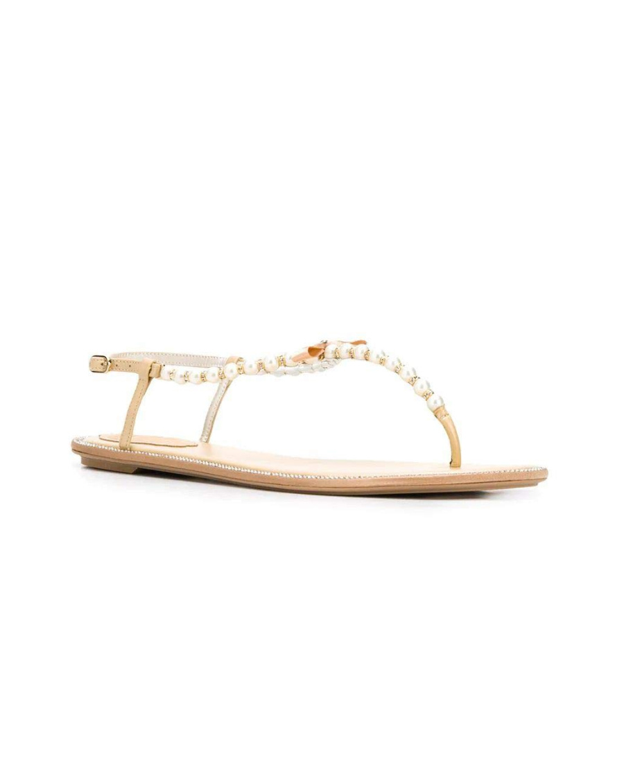 René Caovilla Embellished Thong Sandals In Nude