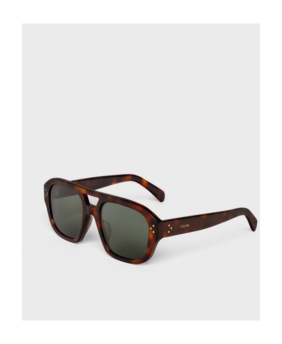 Celine Frame 39 Sunglasses In Brown