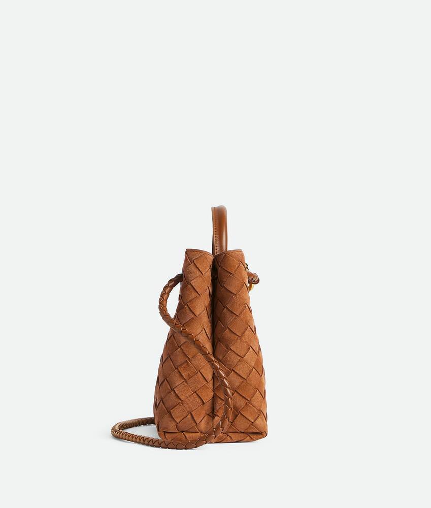 Bottega Veneta Small Andiamo In Orange