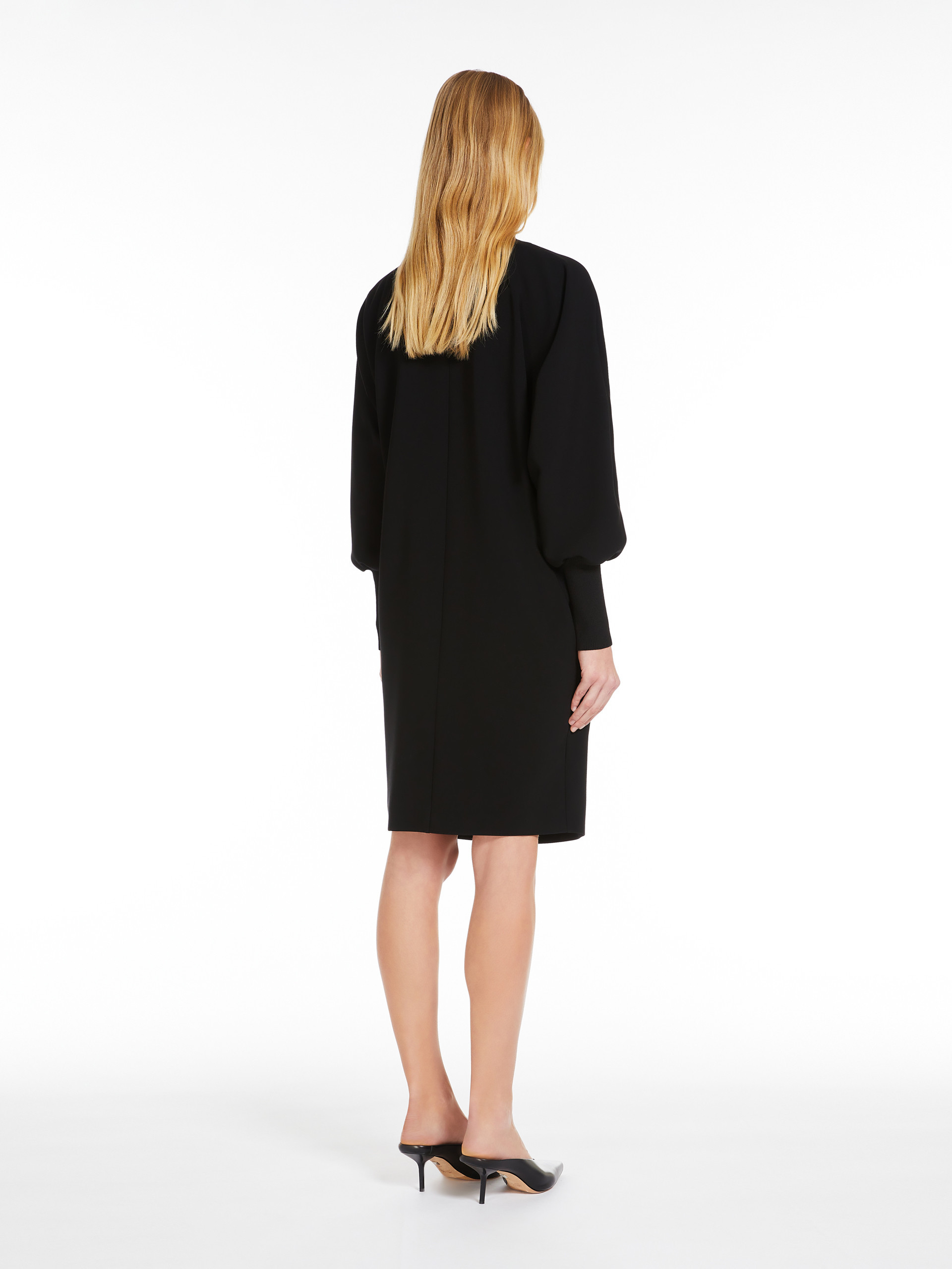 Max Mara Studio Asti Cady Long-sleeved Dress In Black
