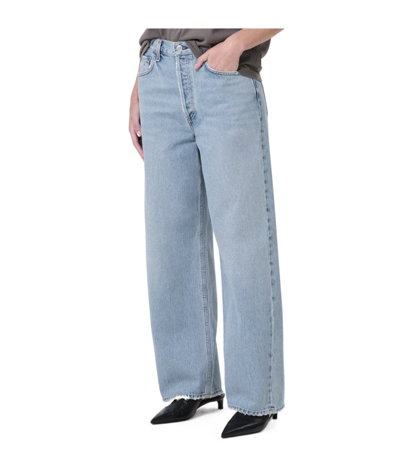 Agolde Ren High Waist Wide Leg Pants In Encounter