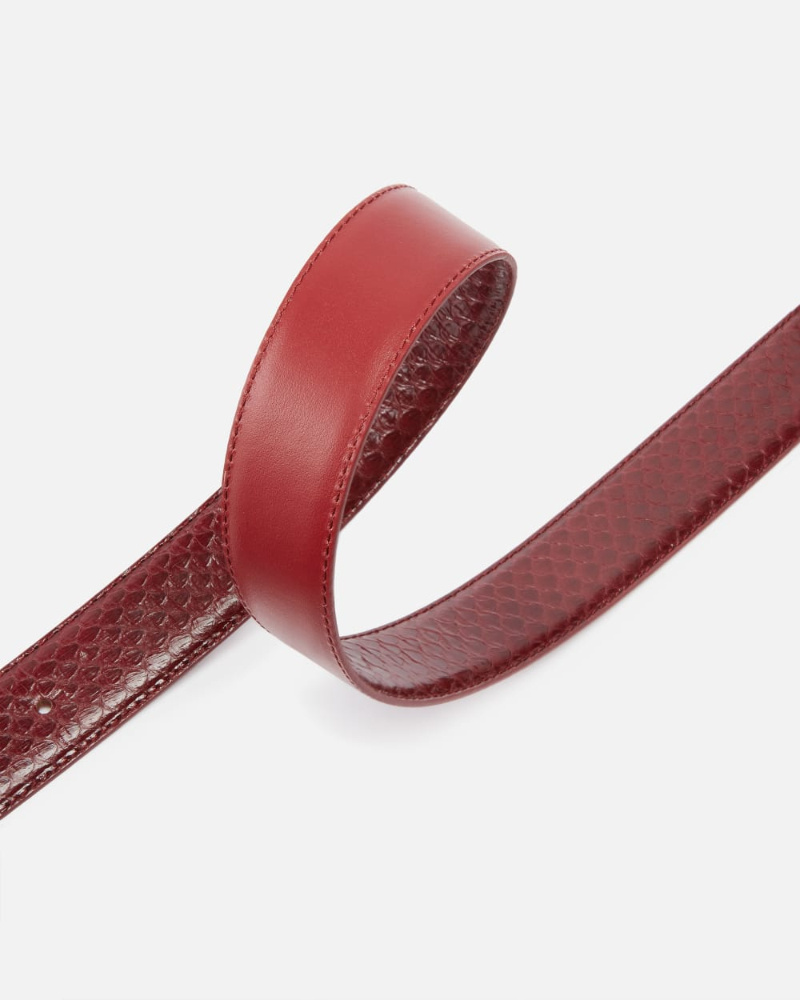 Pinko Galleria 3-cm Belt In Glossy Python Skin In Red
