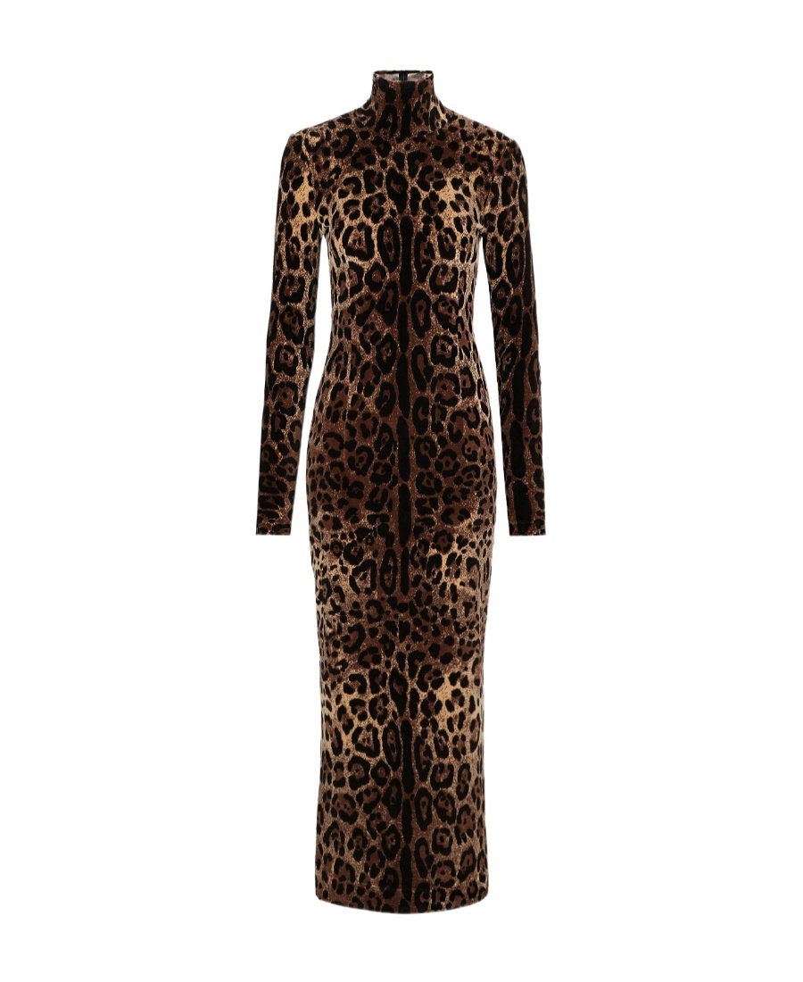 Dolce & Gabbana Leopard-print Mid-length Dress In Black