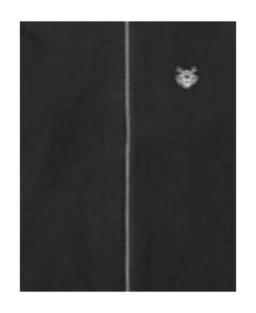 Kenzo Black Logo Casual Jacket In Black