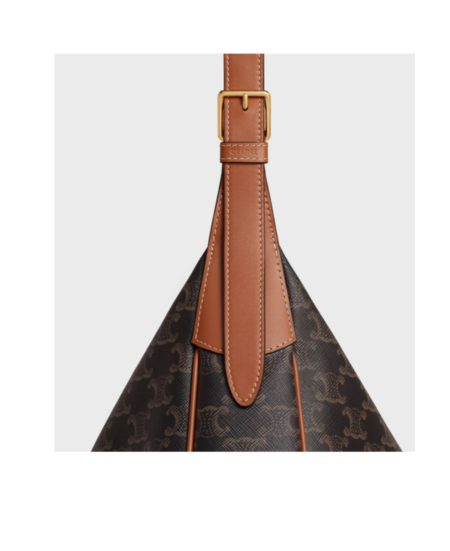 Celine Heloise Triomphe Printed Zipper Shoulder Bag In Brown