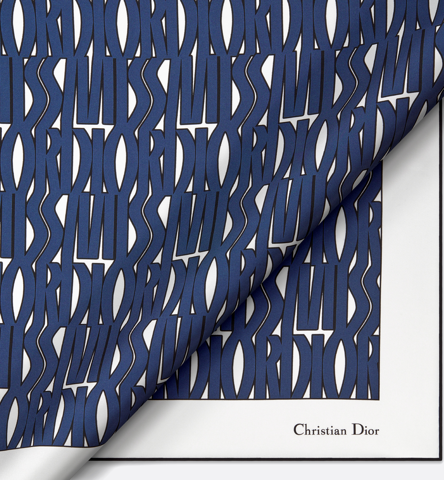 Dior Logo Square In Blue