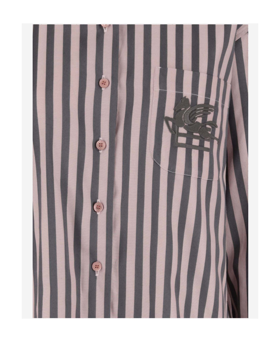 Etro Pegaso-embroidered Striped Shirt In Nude