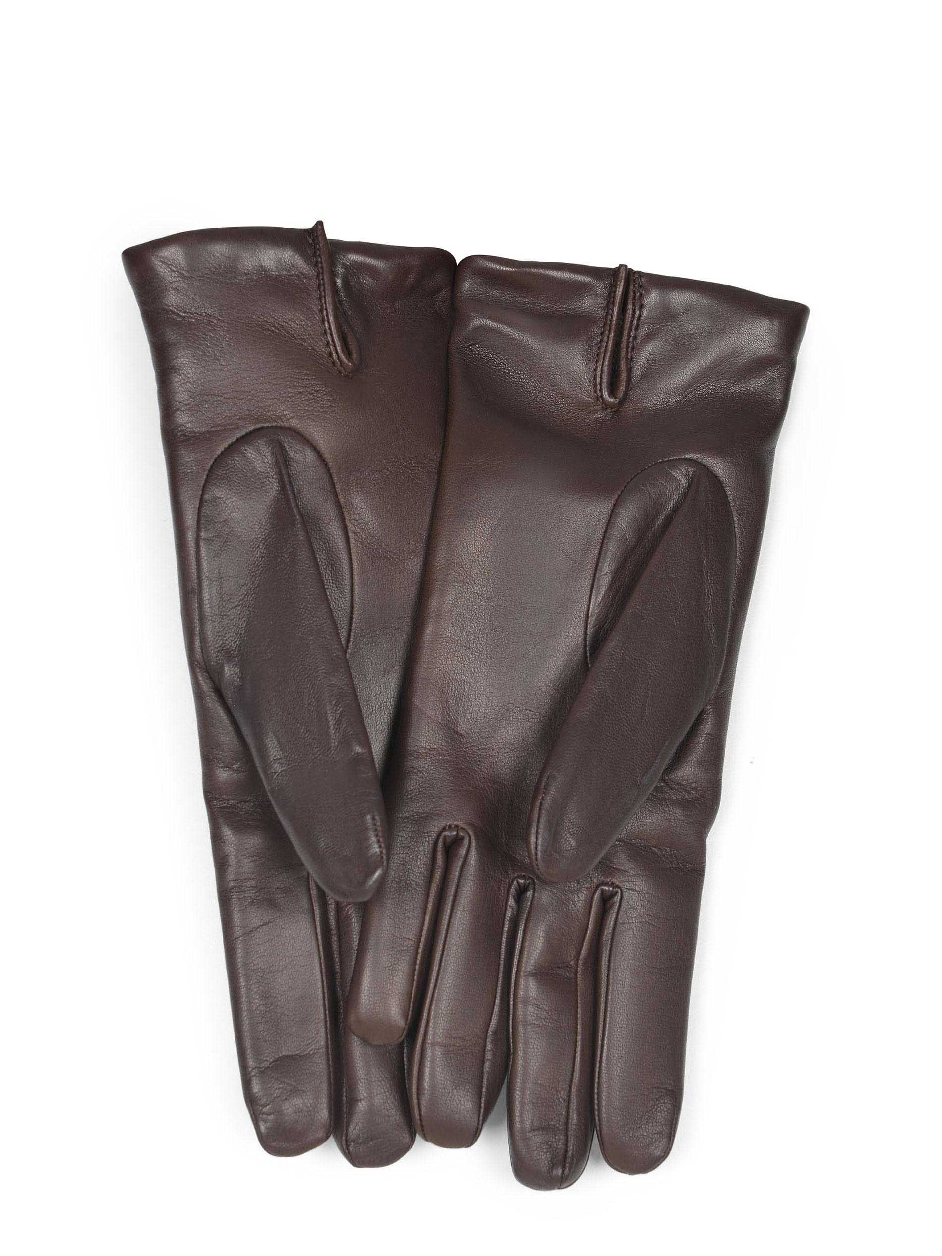 Max Mara Five Finger Gloves In Brown