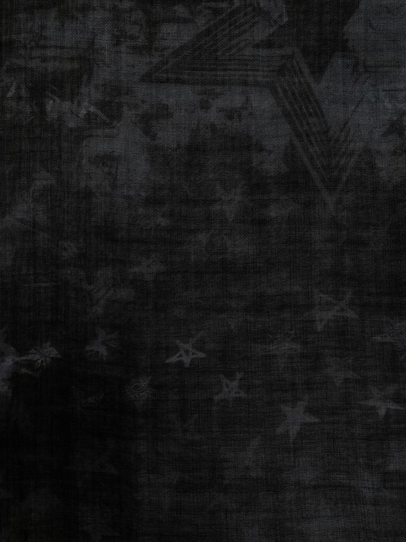 Zadig & Voltaire Printed Scarf In Black