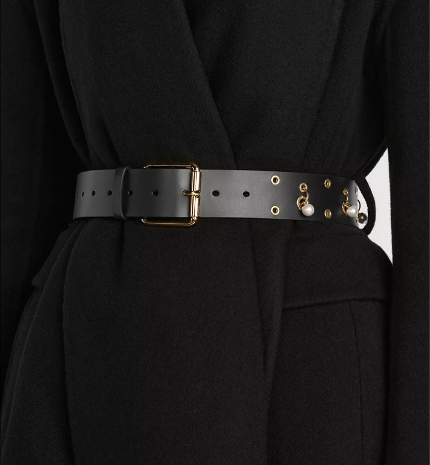 Dior Evolt Belt In Black