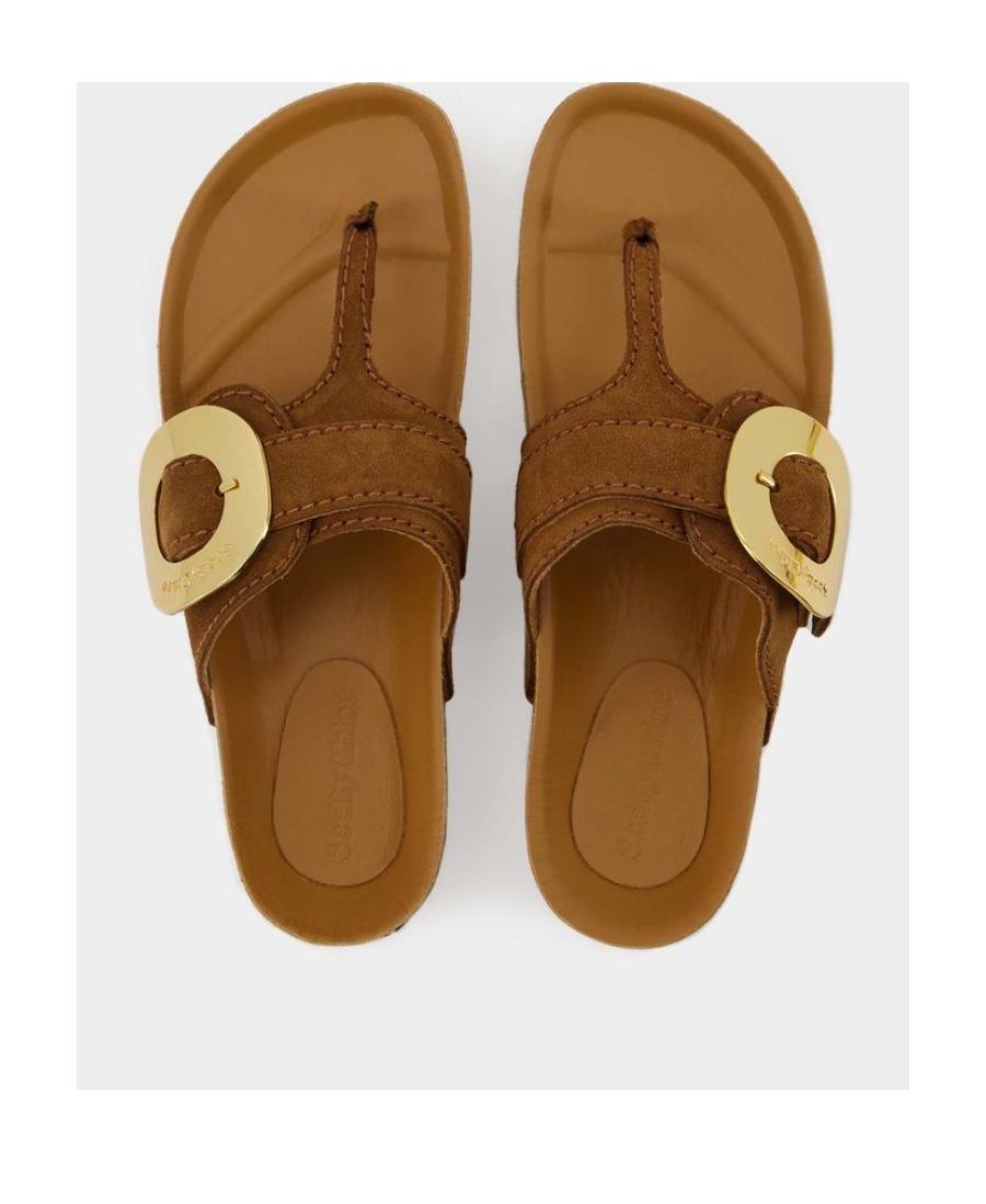 See By Chloé Gold-tone Plaque Suede Slides In Brown
