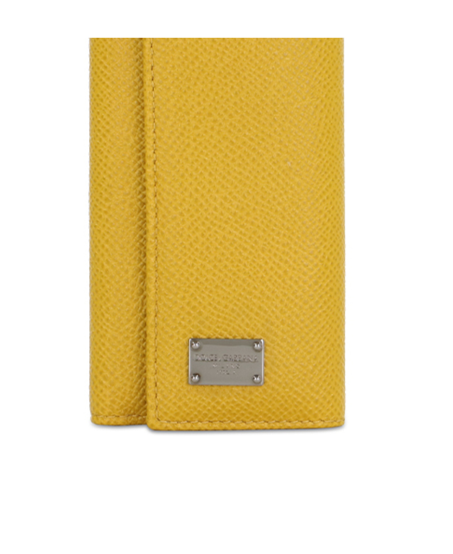 Dolce & Gabbana Logo Details Key Bag In Yellow