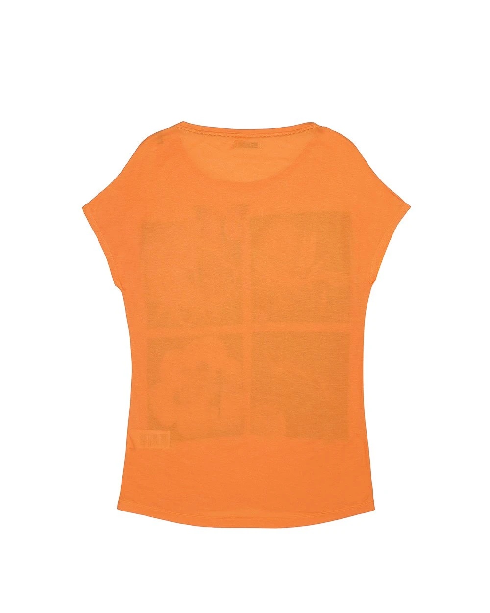 Iceberg Printed T-shirt With Round Neck In Orange