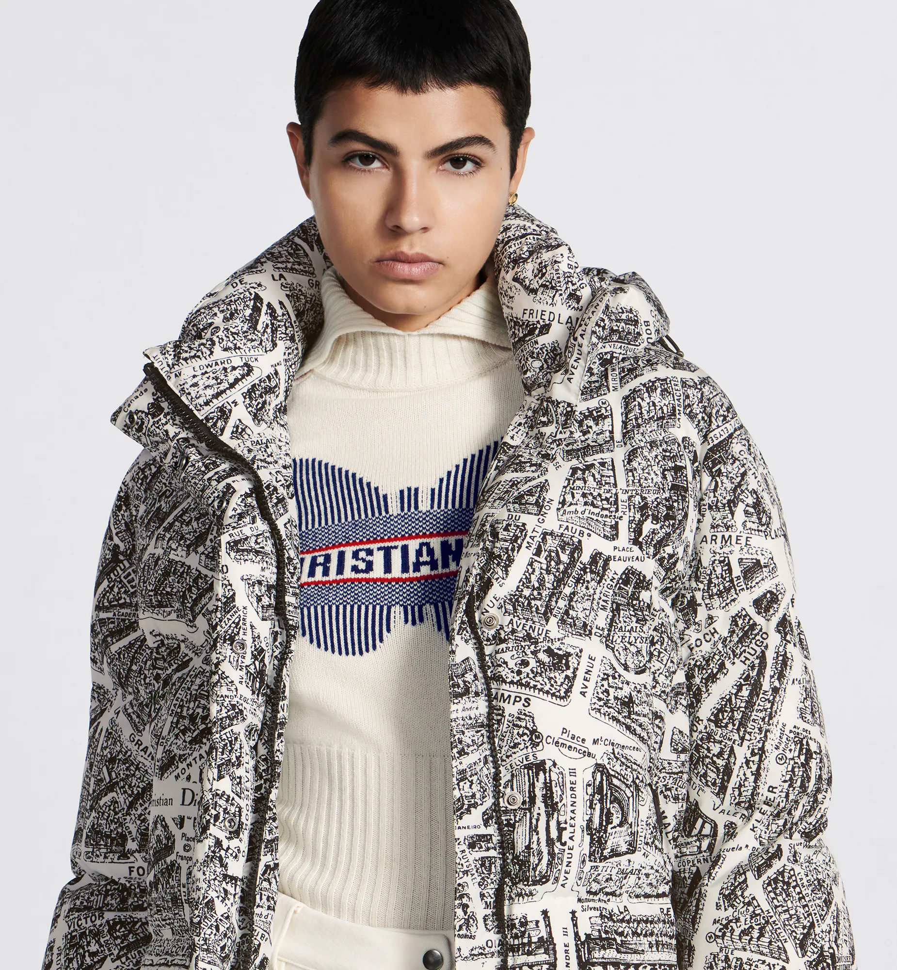 Dior Alps Hooded Down Jacket In Gray