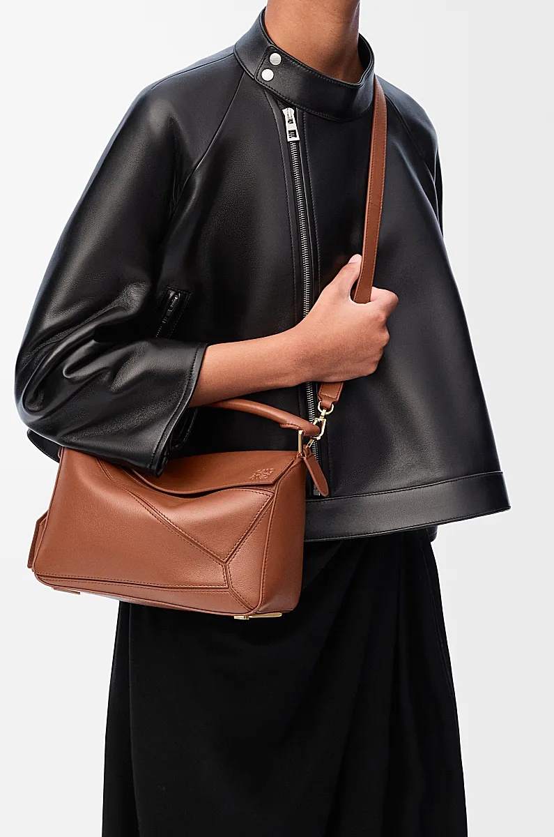 Loewe Zippered Shoulder Bag In Brown