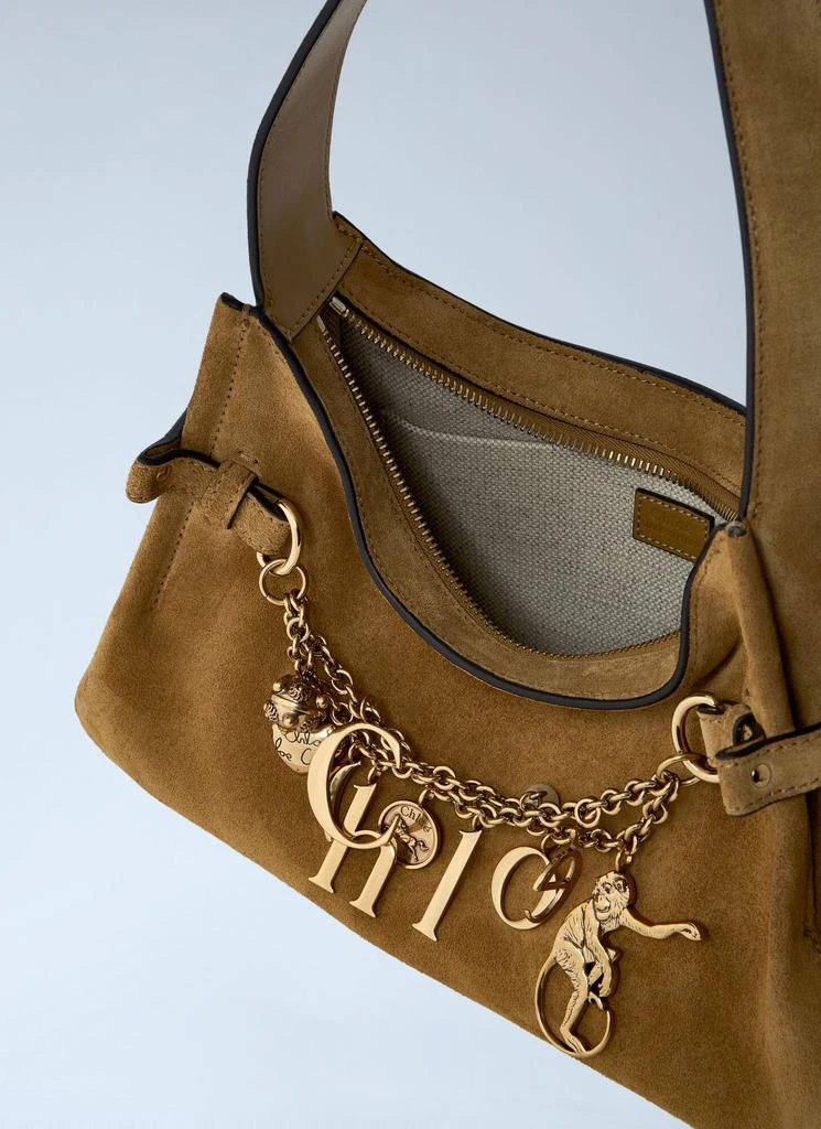 Chloé Zipper Shoulder Bag In Brown