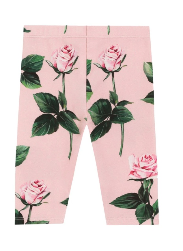 Dolce & Gabbana Rose-print Leggings In Green