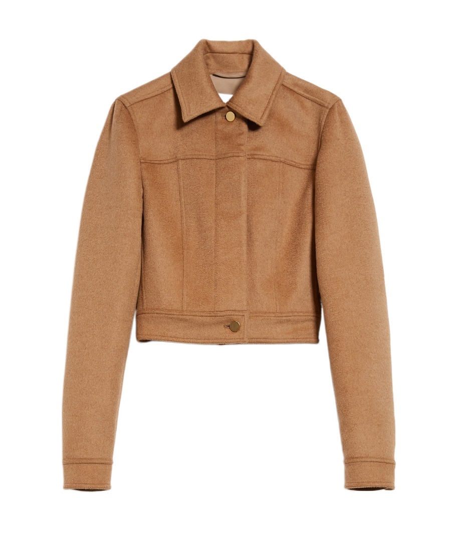 Max Mara Foglia Cropped Jacket In Brown