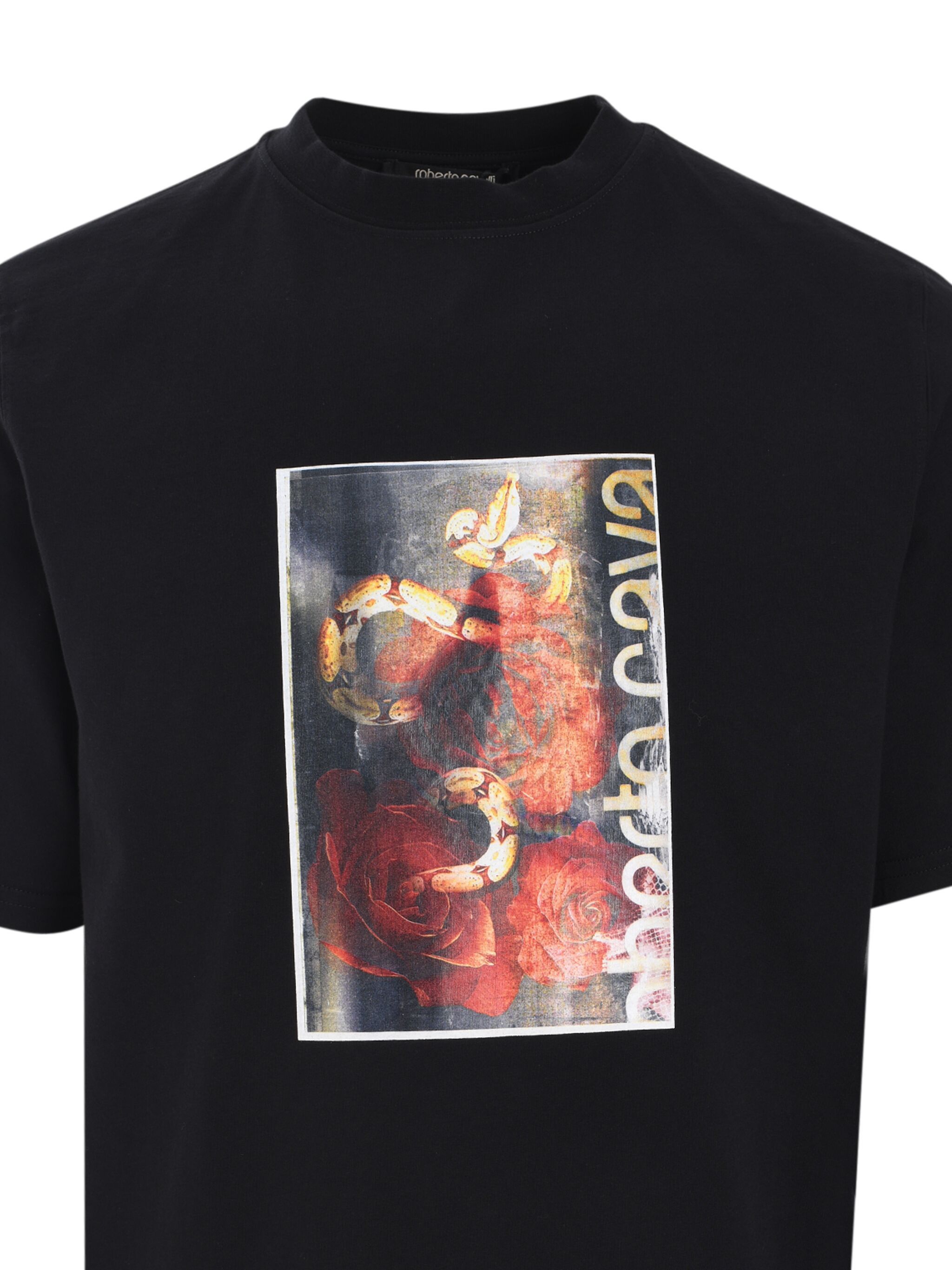Roberto Cavalli Flyer Rises And Snake T-shirt In Black