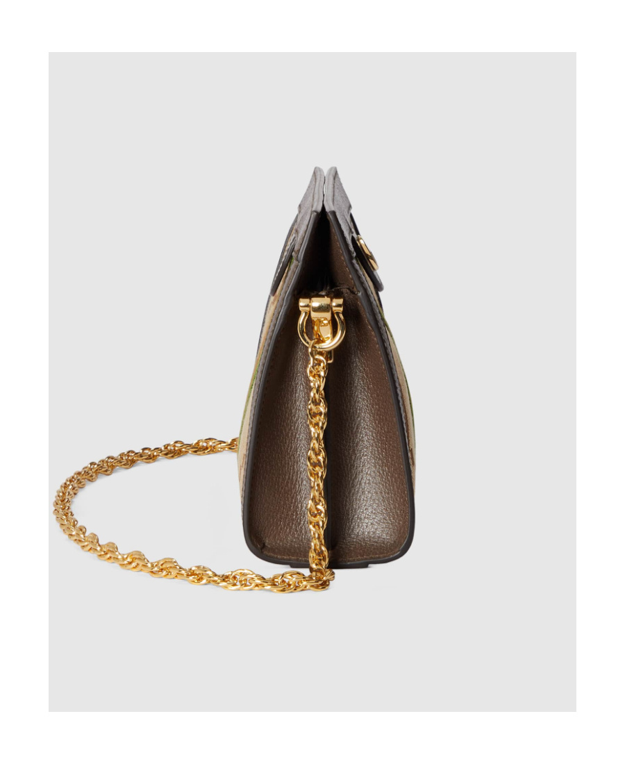 Gucci Small Ophidia Jumbo Gg Bag In Brown