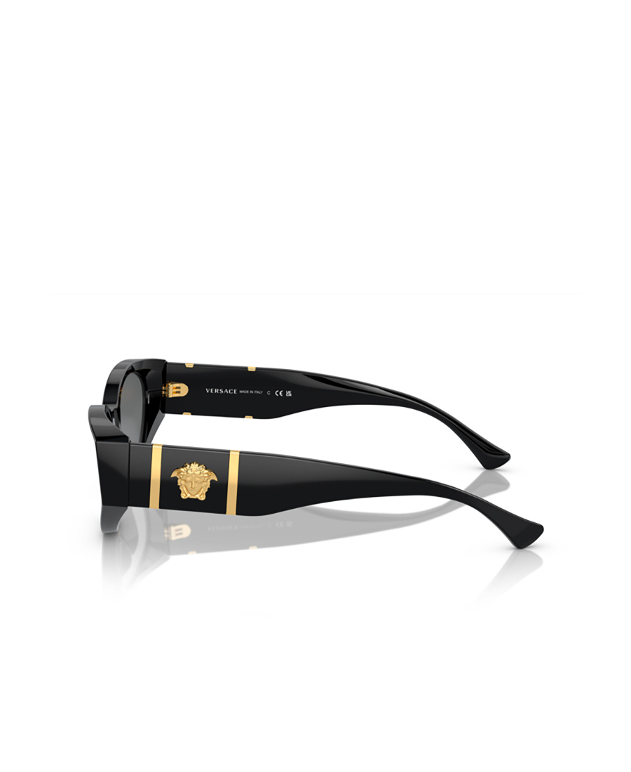 Versace Womens Black Ve4454 Logo-embellished Acetate Sunglasses In Gray