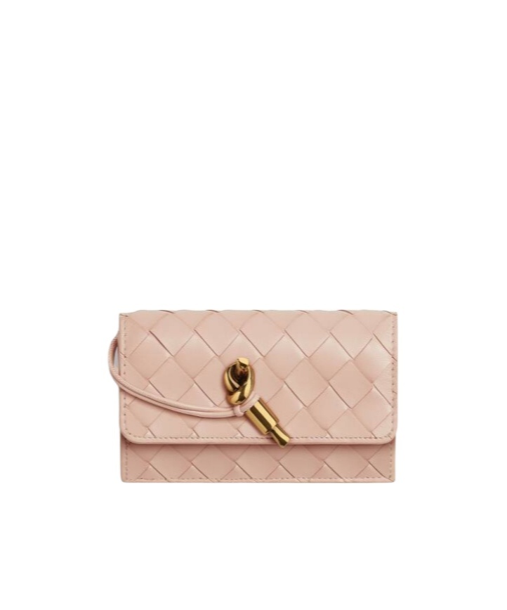 Bottega Veneta Andiamo Zipper Card Bag In Nude