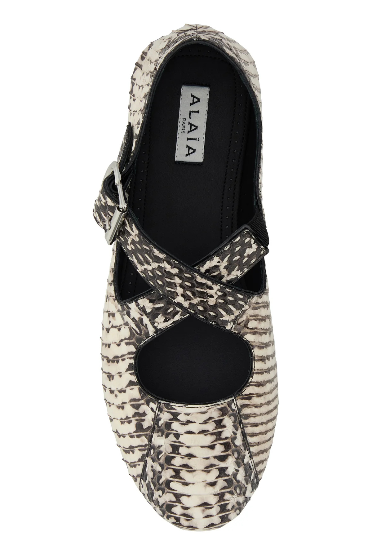 Alaïa Printed Leather Ballerinas In Multi
