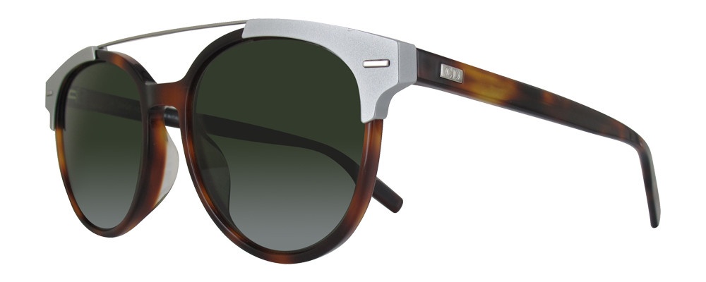 Dior Black Logo Sunglasses In Black
