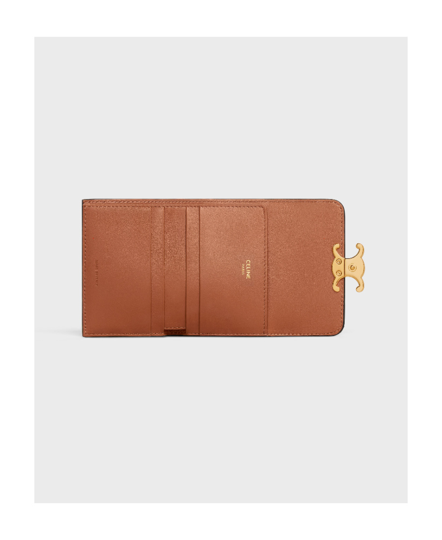Celine Triomphe Small Wallet In Brown Canvas With Leather Trims For Women In Brown