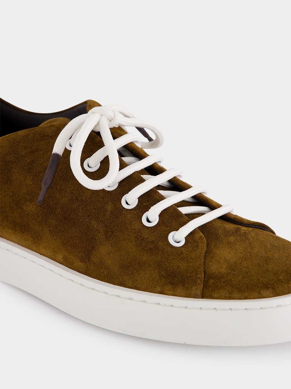 Manolo Blahnik Lace-up Low-cut Casual Shoes In Brown
